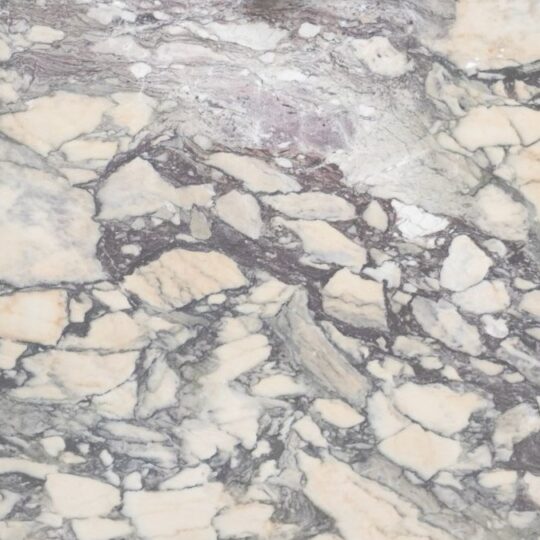 Calacatta Viola Estremoz Honed Marble